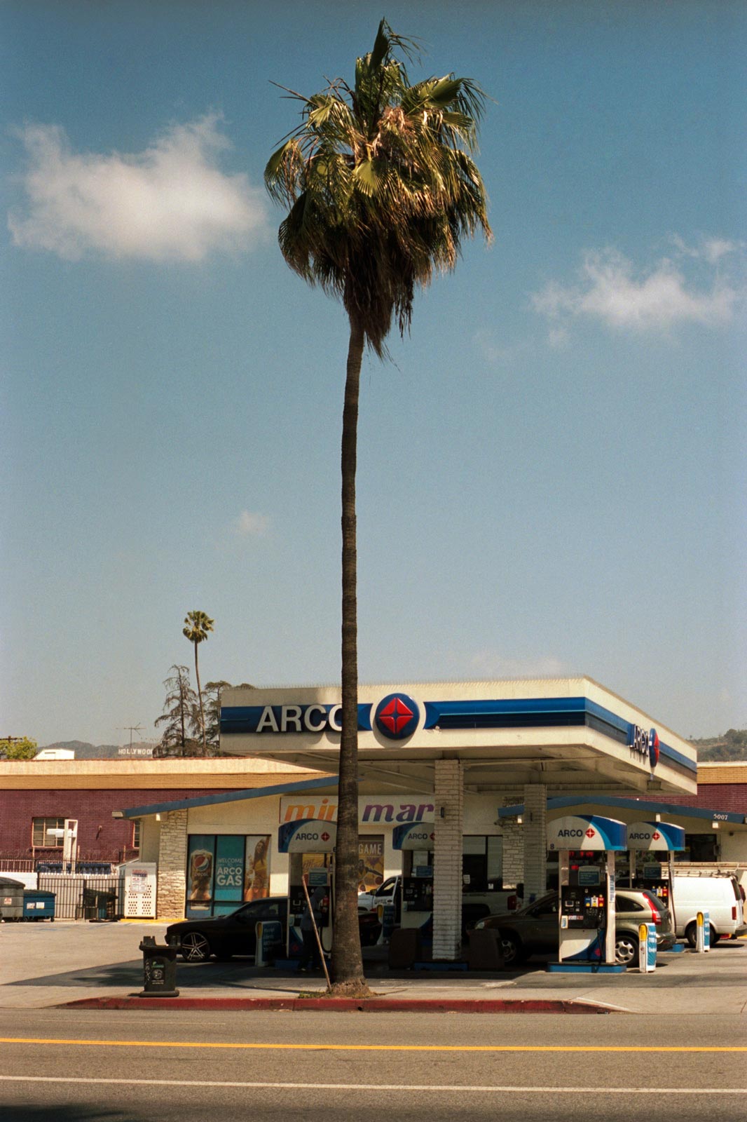 Tall palm tree outside Arco gas station, Los Angeles.