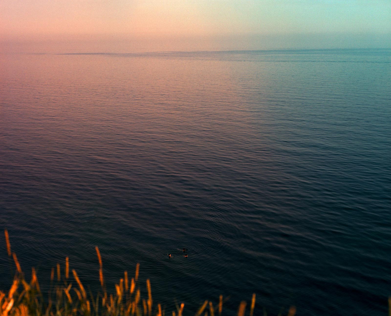 Look closely, people swimming at sunset, analogue photography, art.